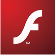 flash websites Services